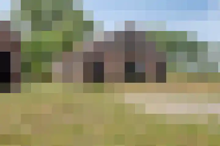 Weg naar het Ganzen Ei 10 Brummen thumbnail 38