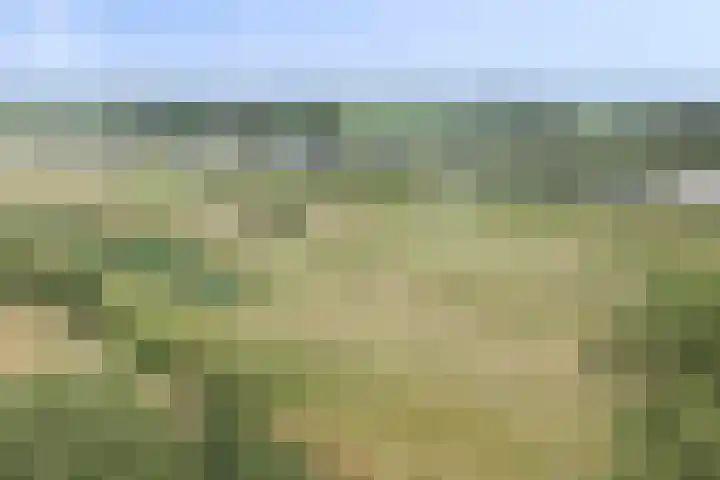 Weg naar het Ganzen Ei 10 Brummen thumbnail 4