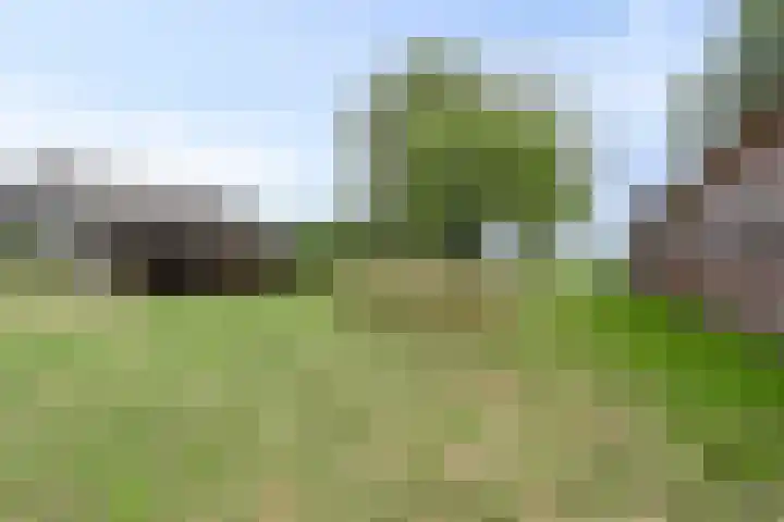 Weg naar het Ganzen Ei 10 Brummen thumbnail 40