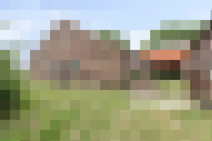 Weg naar het Ganzen Ei 10 Brummen thumbnail 41