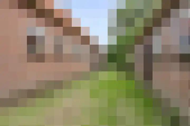 Weg naar het Ganzen Ei 10 Brummen thumbnail 42