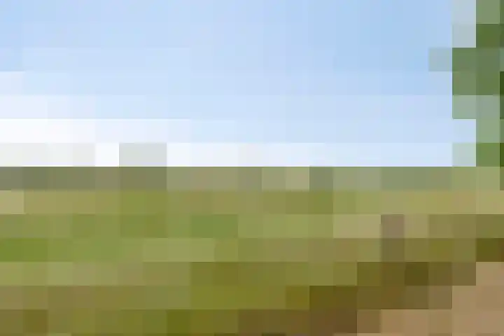 Weg naar het Ganzen Ei 10 Brummen thumbnail 43