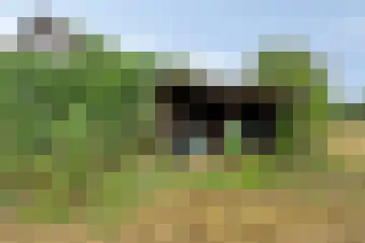 Weg naar het Ganzen Ei 10 Brummen thumbnail 44