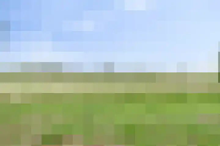 Weg naar het Ganzen Ei 10 Brummen thumbnail 46
