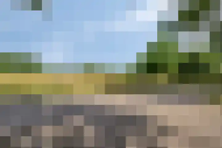 Weg naar het Ganzen Ei 10 Brummen thumbnail 47