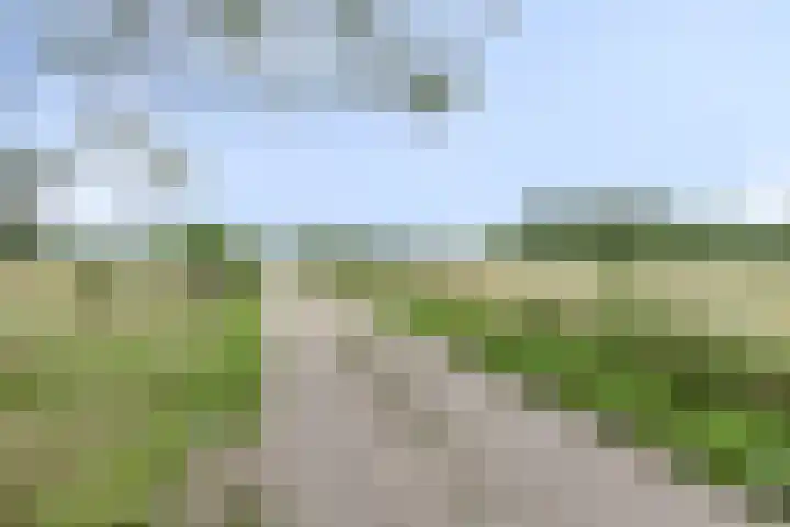 Weg naar het Ganzen Ei 10 Brummen thumbnail 48