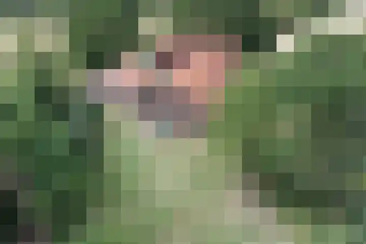Weg naar het Ganzen Ei 10 Brummen thumbnail 49