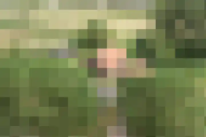 Weg naar het Ganzen Ei 10 Brummen thumbnail 52
