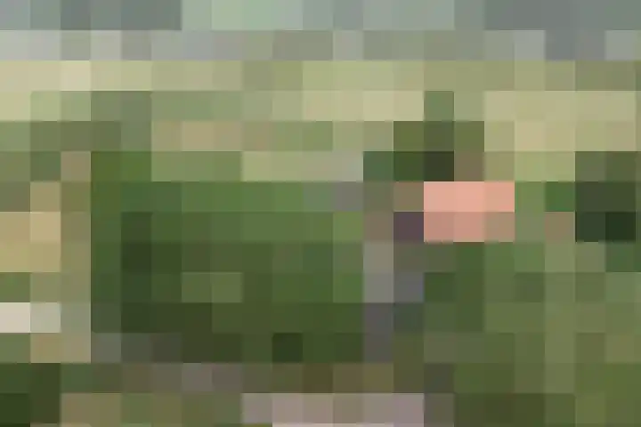 Weg naar het Ganzen Ei 10 Brummen thumbnail 55
