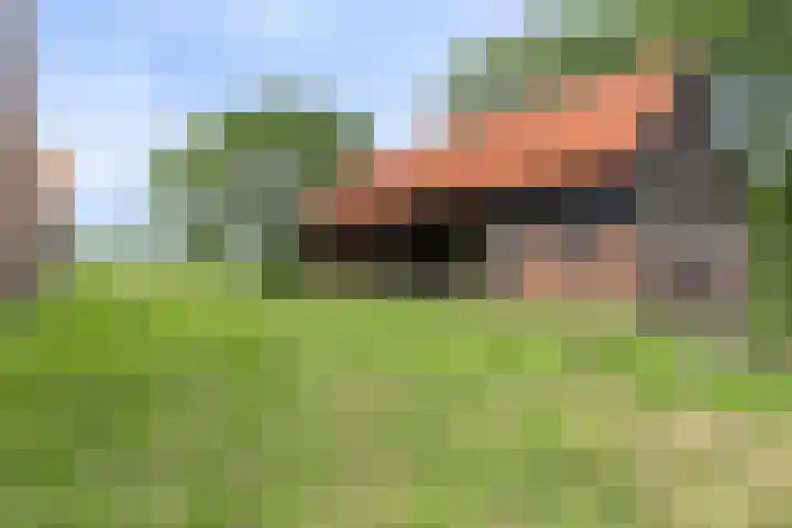 Weg naar het Ganzen Ei 10 Brummen thumbnail 7
