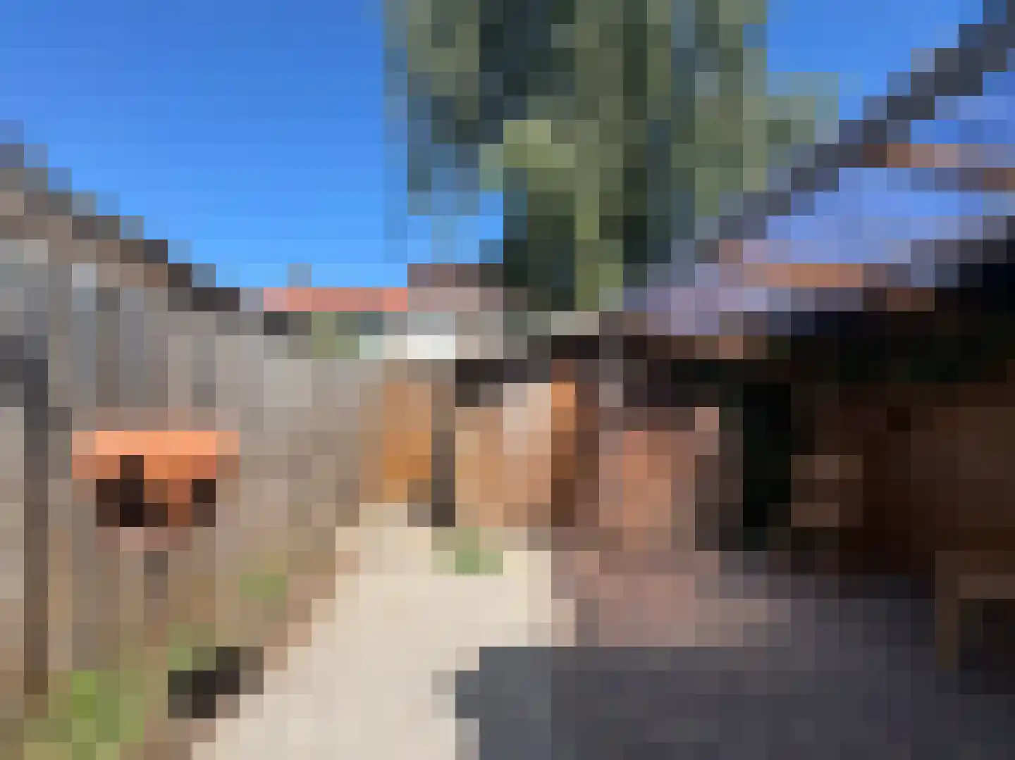 Weg naar Laren 125 Zutphen thumbnail 22