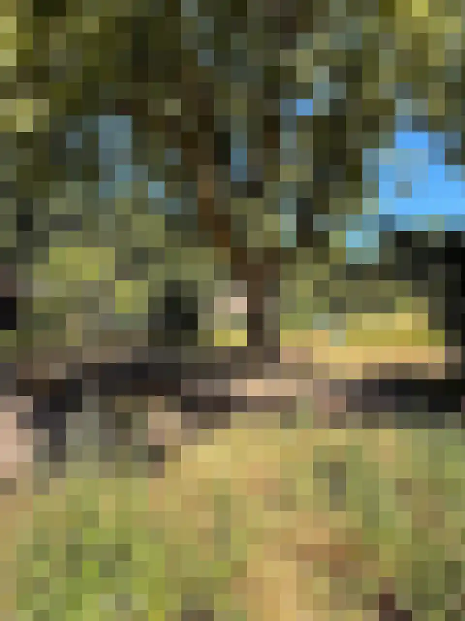 Weg naar Laren 125 Zutphen thumbnail 31