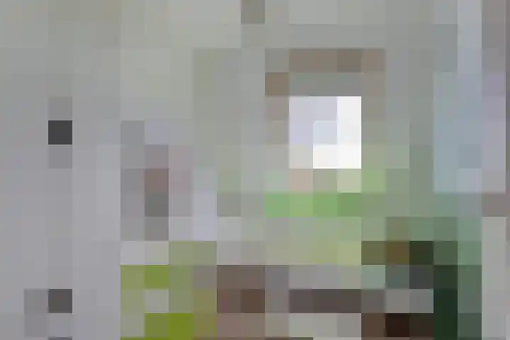 Weg naar Laren 139 Zutphen thumbnail 22