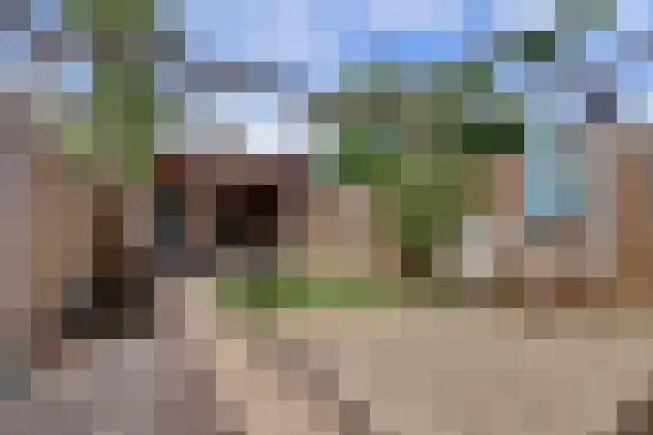 Weg naar Laren 139 Zutphen thumbnail 26