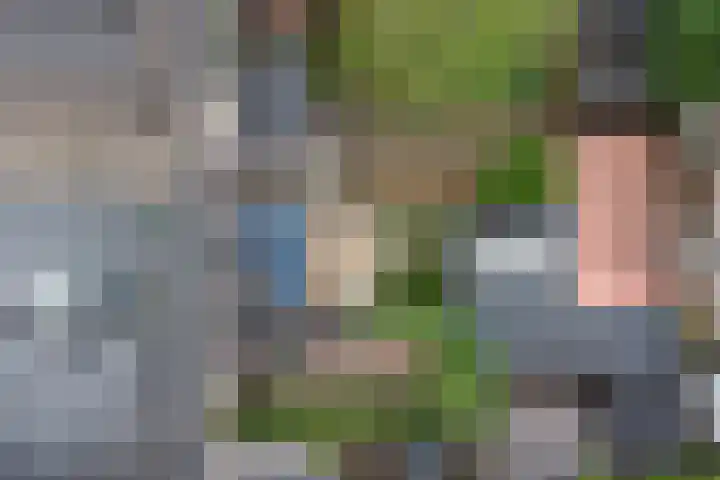 Weg naar Laren 139 Zutphen thumbnail 29