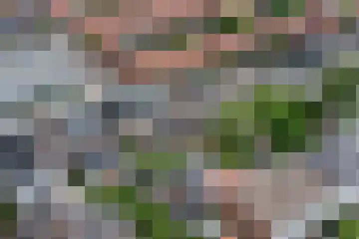 Weg naar Laren 139 Zutphen thumbnail 32