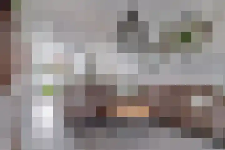 Weg naar Laren 139 Zutphen thumbnail 6