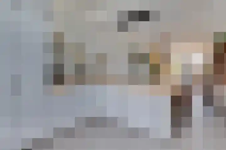 Weg naar Laren 139 Zutphen thumbnail 8