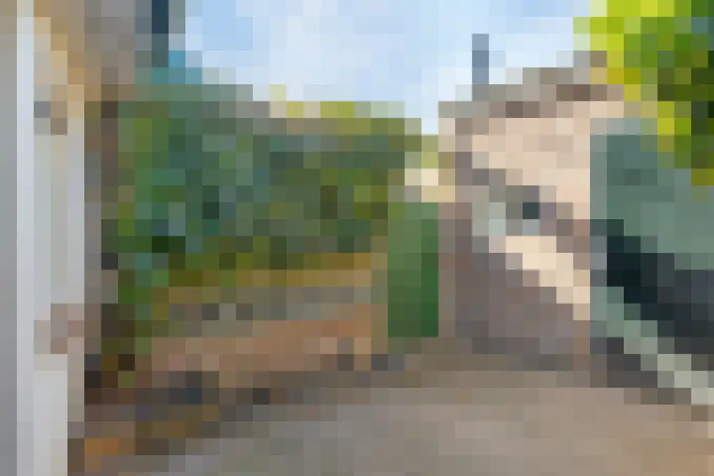 Weg naar Laren 201 Zutphen thumbnail 17