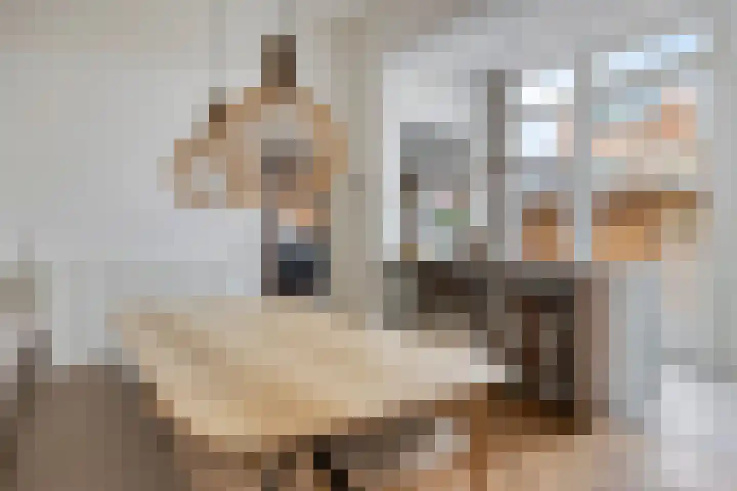 Weg naar Laren 35 Zutphen thumbnail 20
