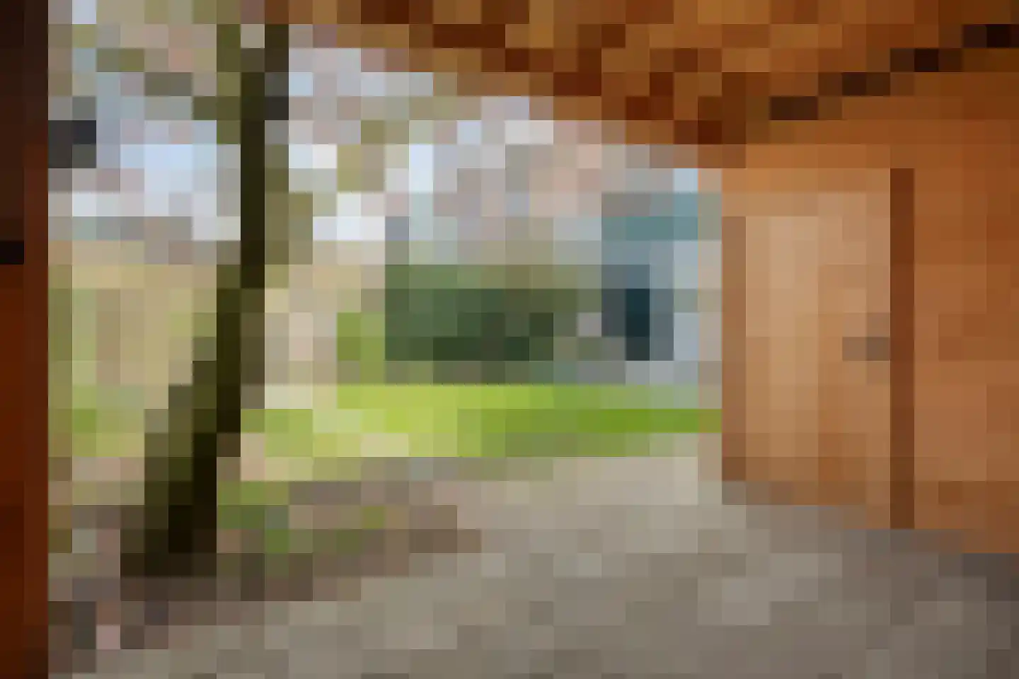 Weg naar Laren 35 Zutphen thumbnail 49