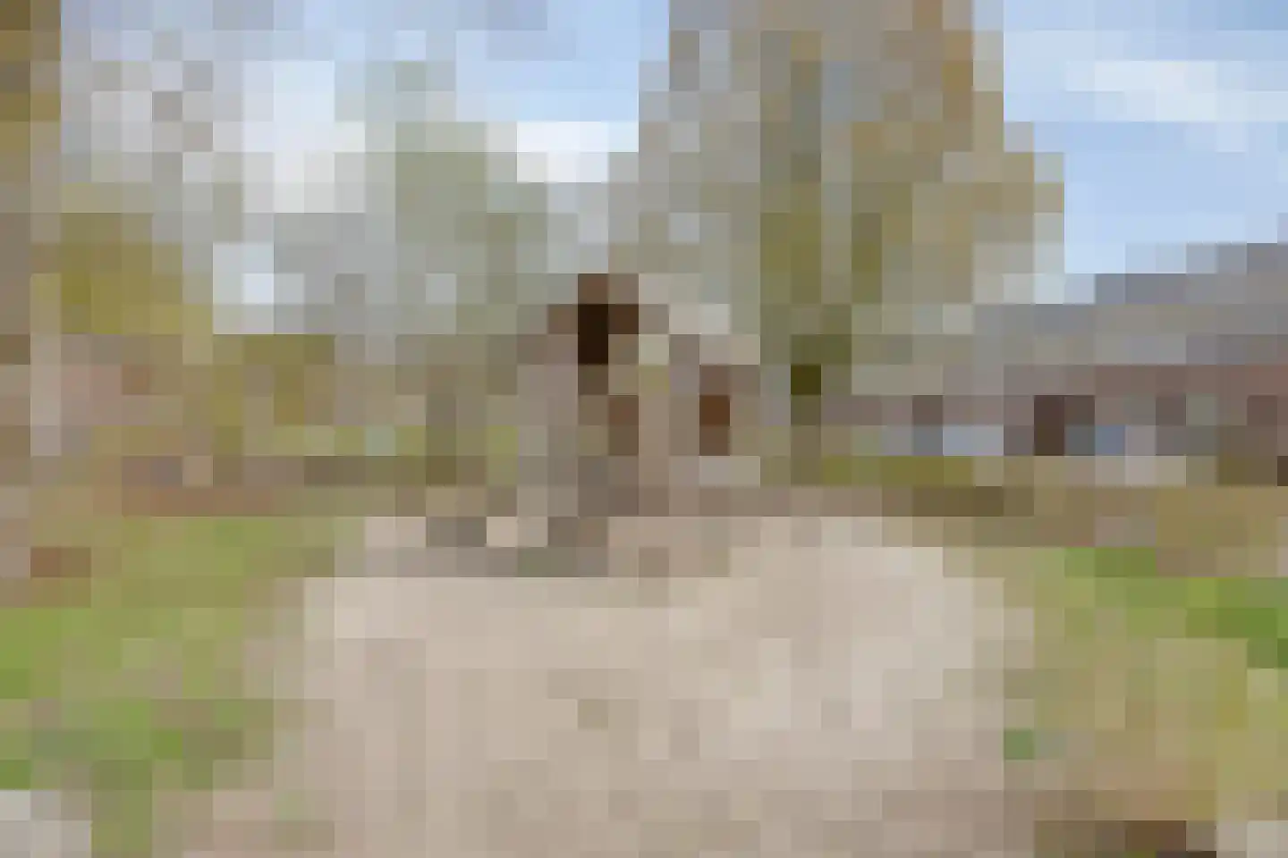 Weg naar Laren 35 Zutphen thumbnail 56