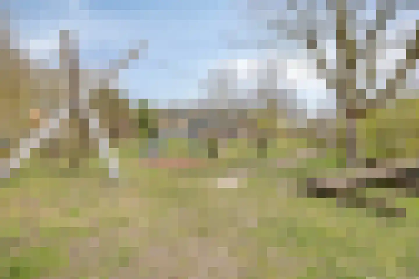 Weg naar Laren 35 Zutphen thumbnail 57