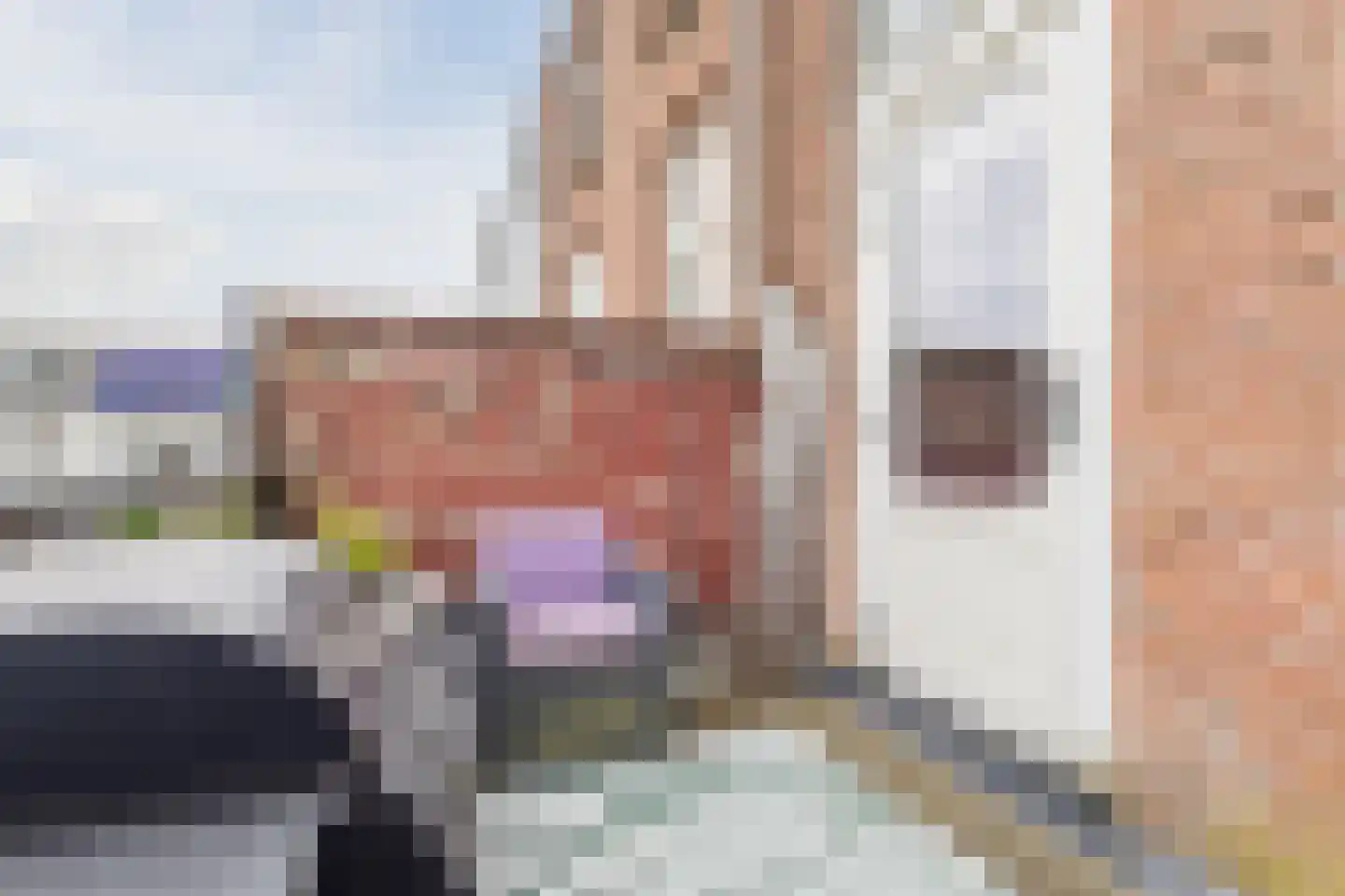 Weg naar Laren 37 Zutphen thumbnail 17