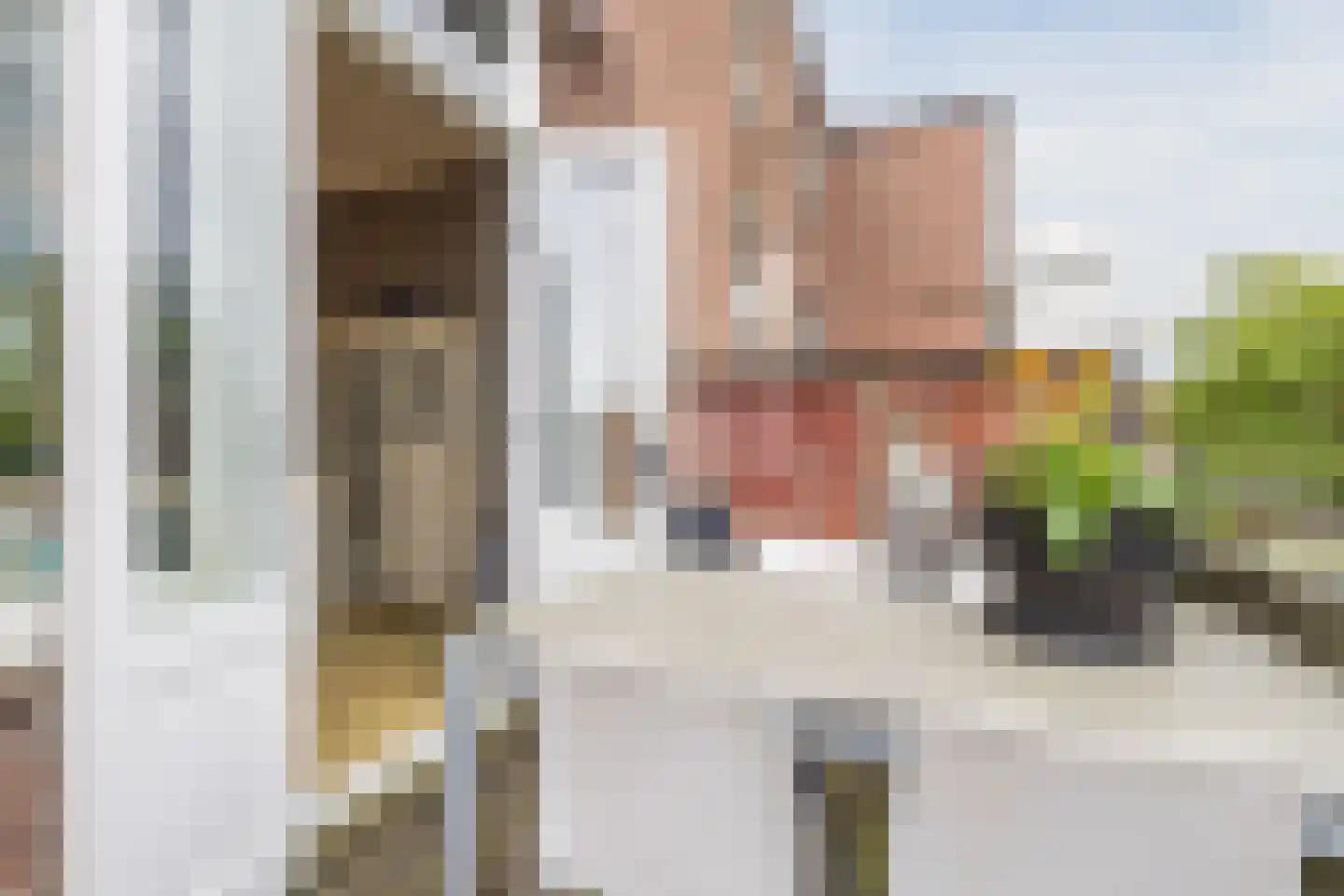 Weg naar Laren 37 Zutphen thumbnail 19