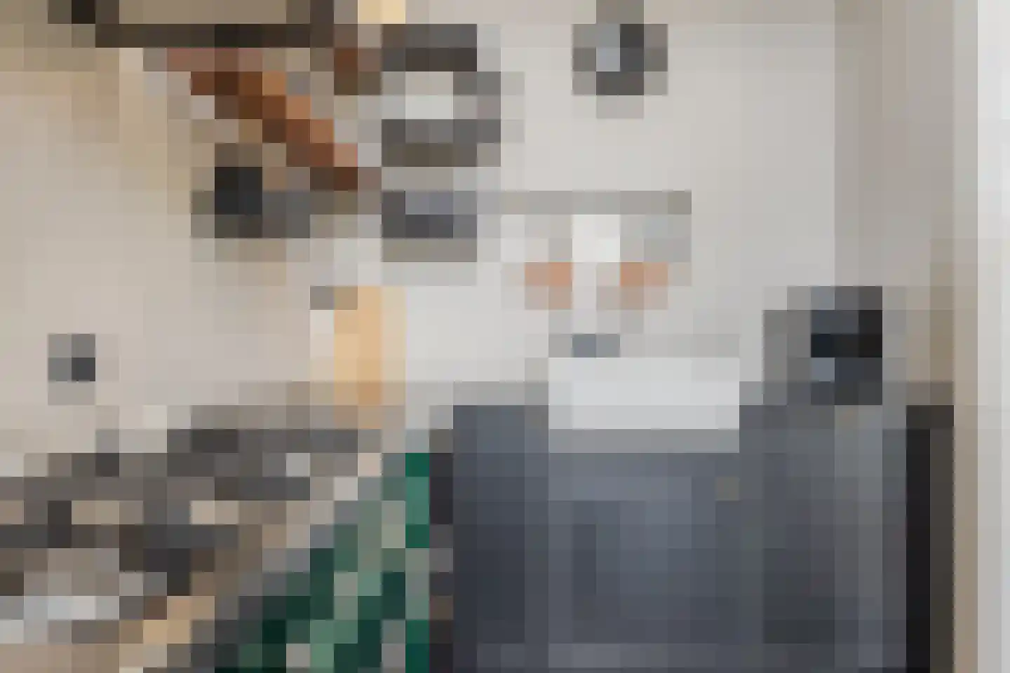 Weg naar Laren 37 Zutphen thumbnail 27