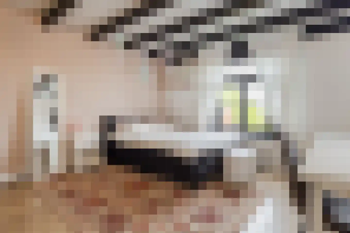 Weg naar Laren 37 Zutphen thumbnail 35