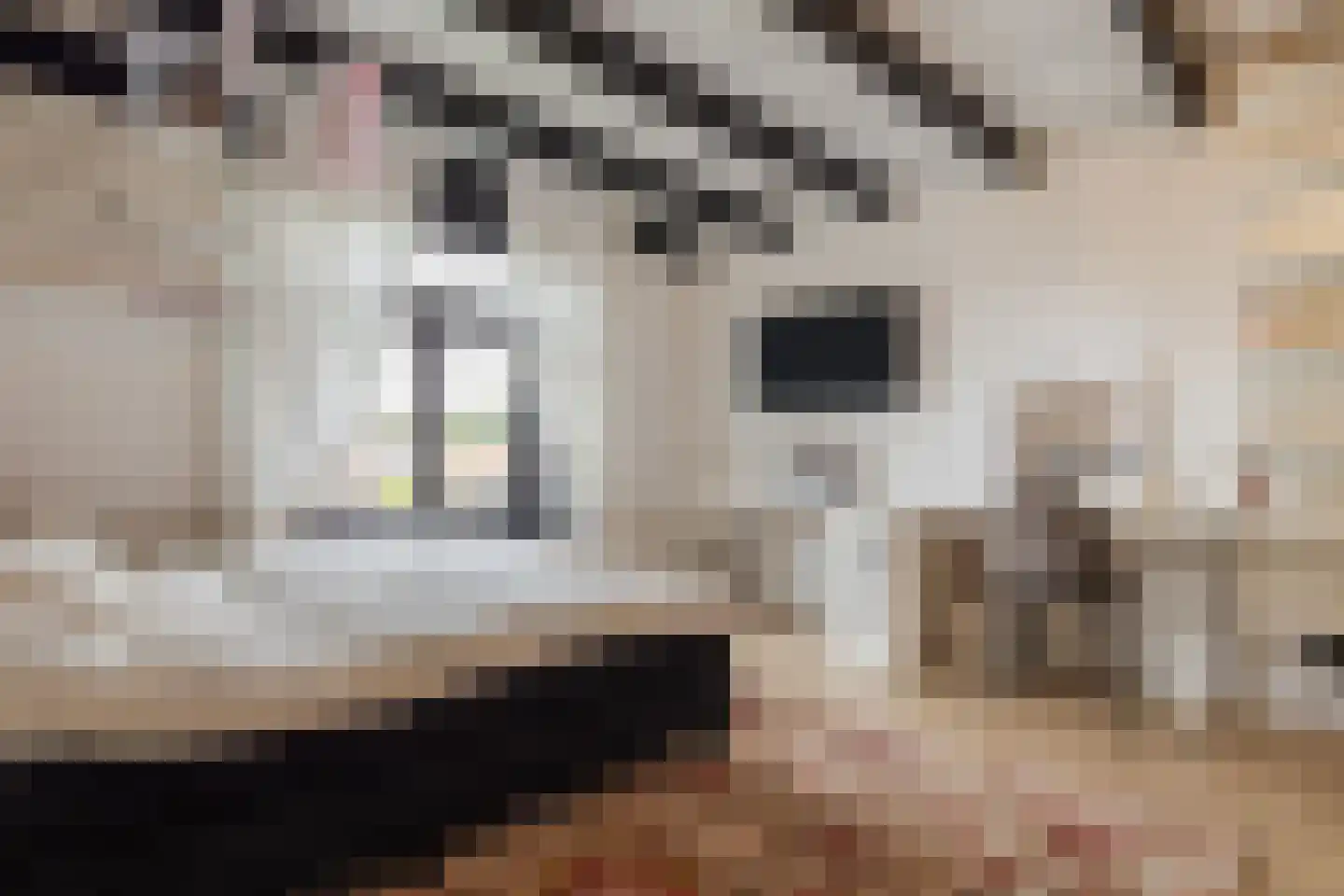 Weg naar Laren 37 Zutphen thumbnail 37