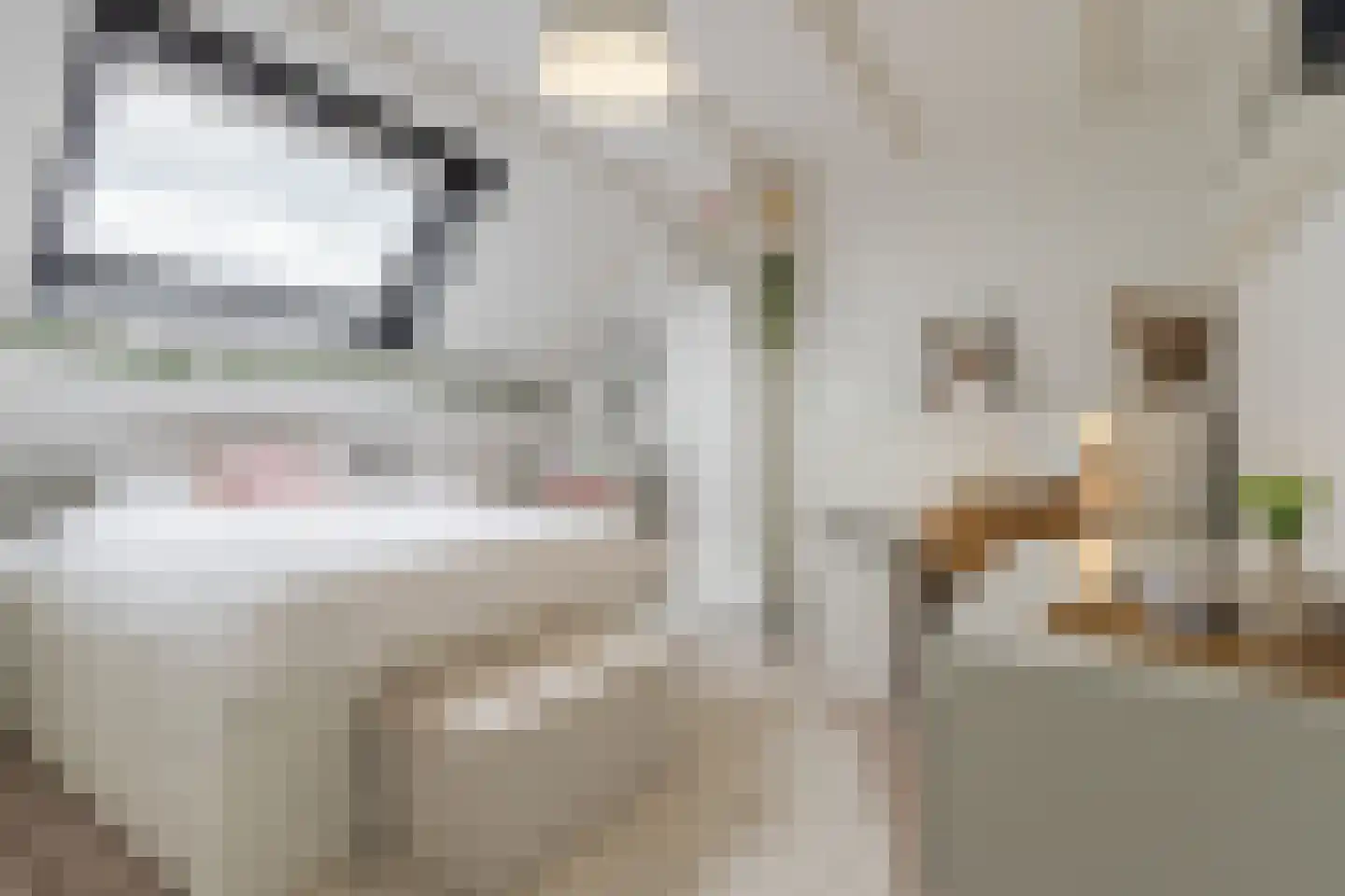 Weg naar Laren 37 Zutphen thumbnail 39