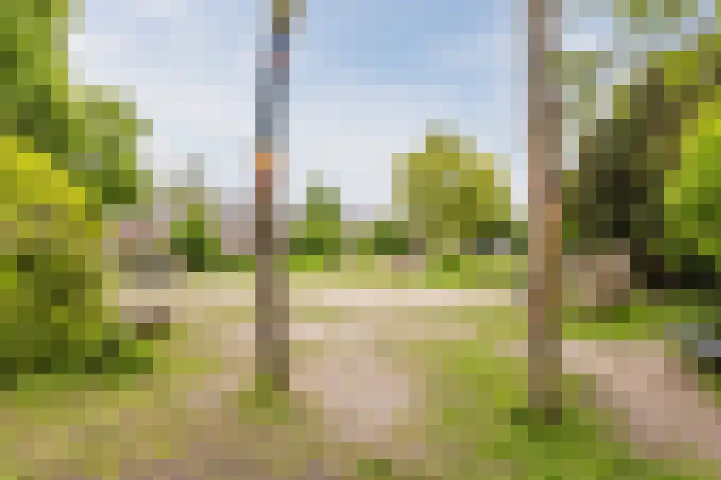 Weg naar Laren 37 Zutphen thumbnail 51
