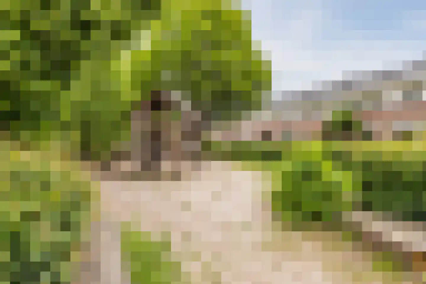 Weg naar Laren 37 Zutphen thumbnail 52