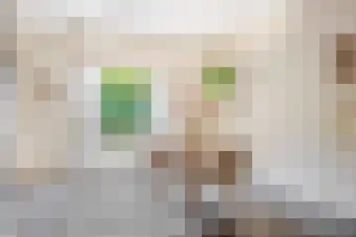 Weg naar Laren 84 Zutphen thumbnail 17