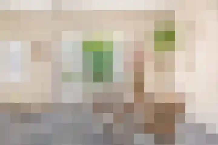 Weg naar Laren 84 Zutphen thumbnail 18