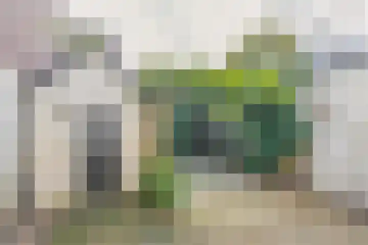 Weg naar Laren 84 Zutphen thumbnail 30
