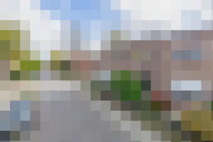 Weg naar Laren 84 Zutphen thumbnail 36