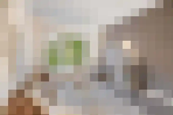 Weg naar Laren 84 Zutphen thumbnail 4