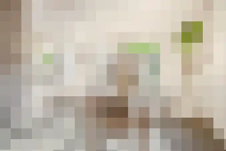 Weg naar Laren 84 Zutphen thumbnail 8