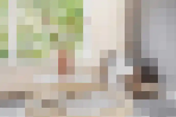 Weg naar Laren 84 Zutphen thumbnail 9