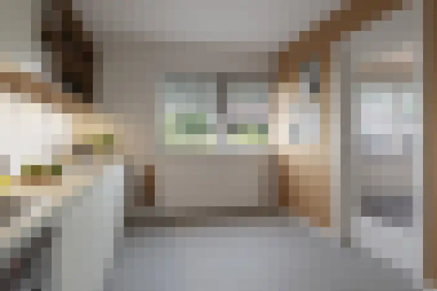 Weg naar Rhijnauwen 12 A Utrecht thumbnail 26