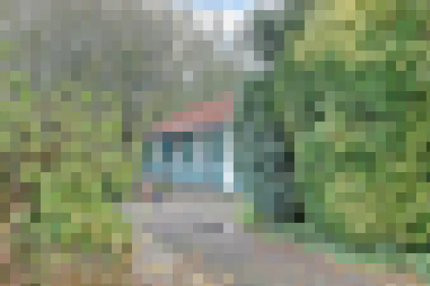 Weg naar Rhijnauwen 12 A Utrecht thumbnail 4
