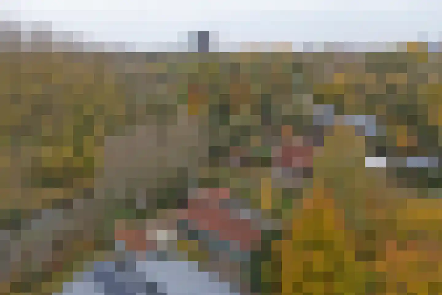 Weg naar Rhijnauwen 12 A Utrecht thumbnail 42