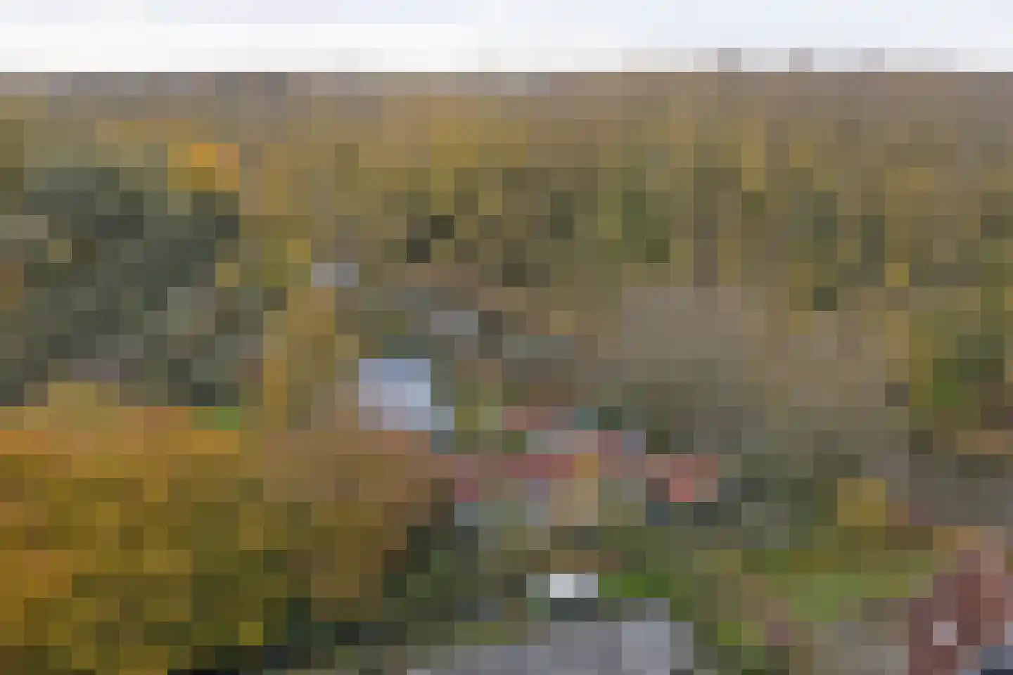 Weg naar Rhijnauwen 12 A Utrecht thumbnail 44