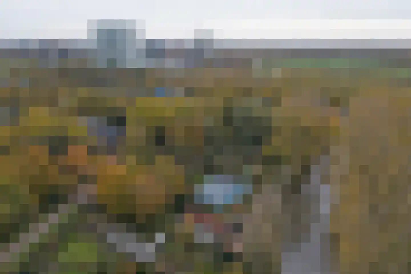 Weg naar Rhijnauwen 12 A Utrecht thumbnail 45