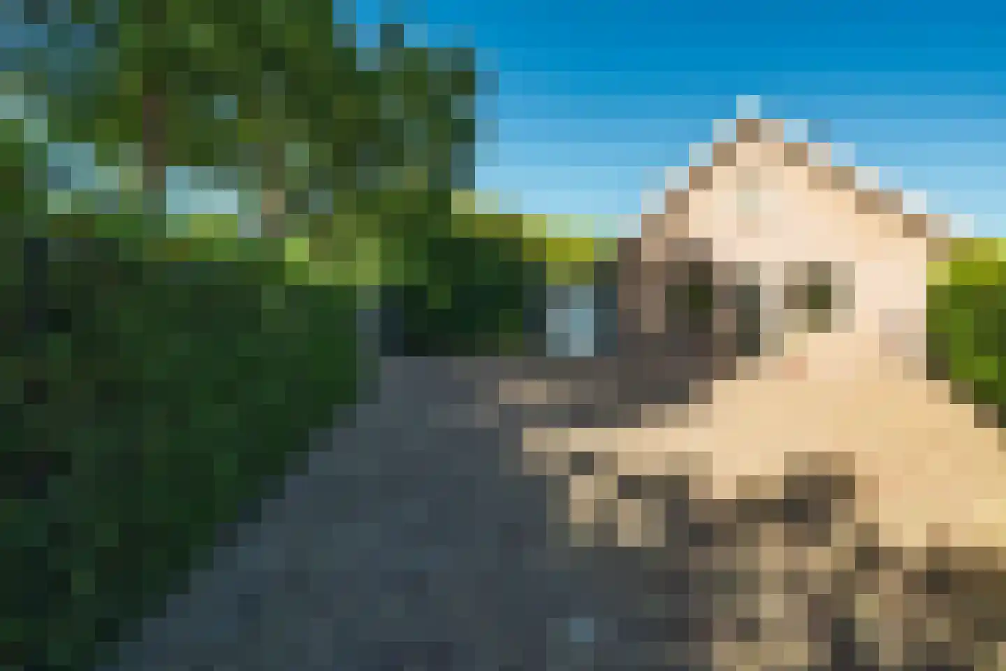 Weg naar Rhijnauwen 23 Utrecht thumbnail 6