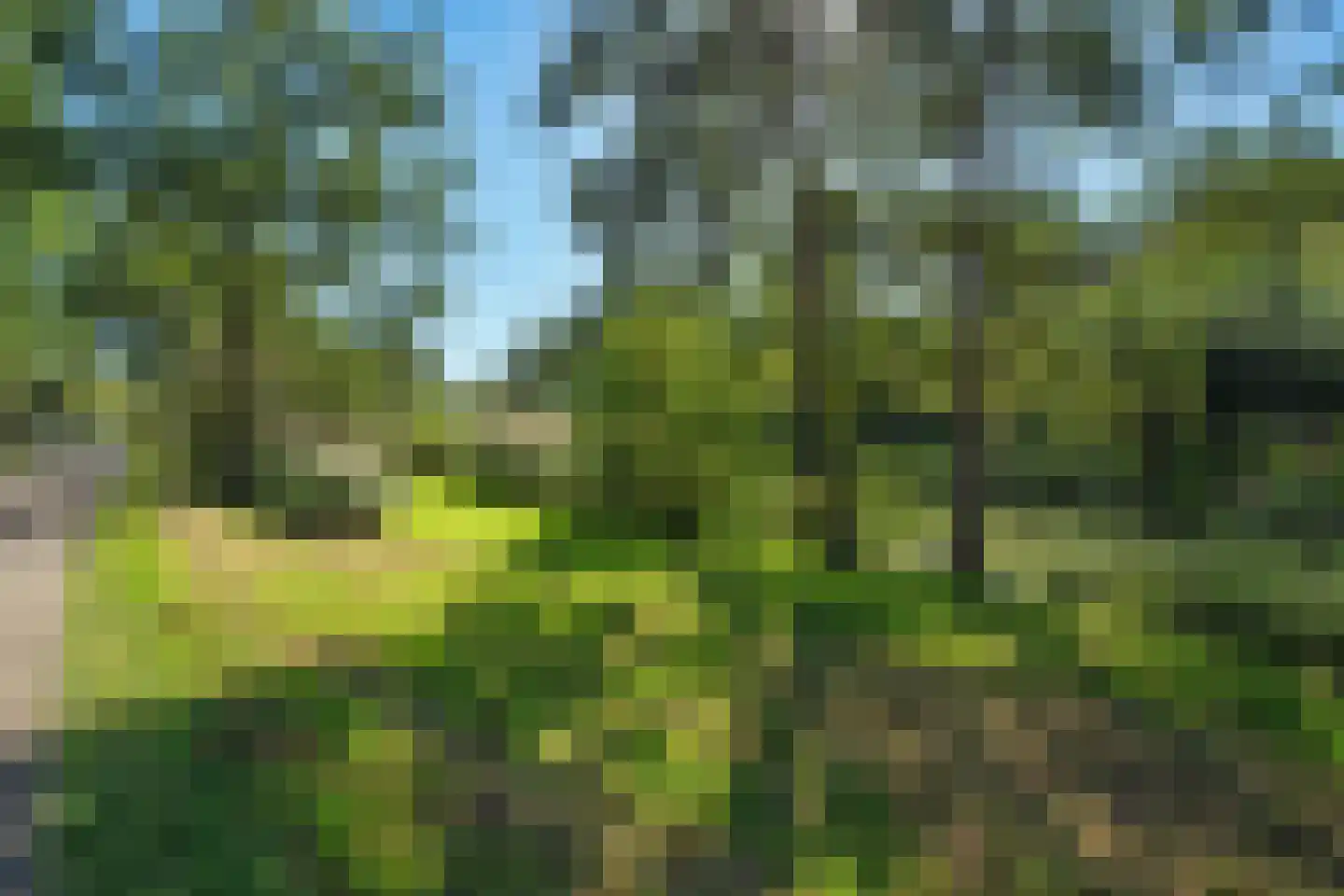 Weg naar Rhijnauwen 23 Utrecht thumbnail 62