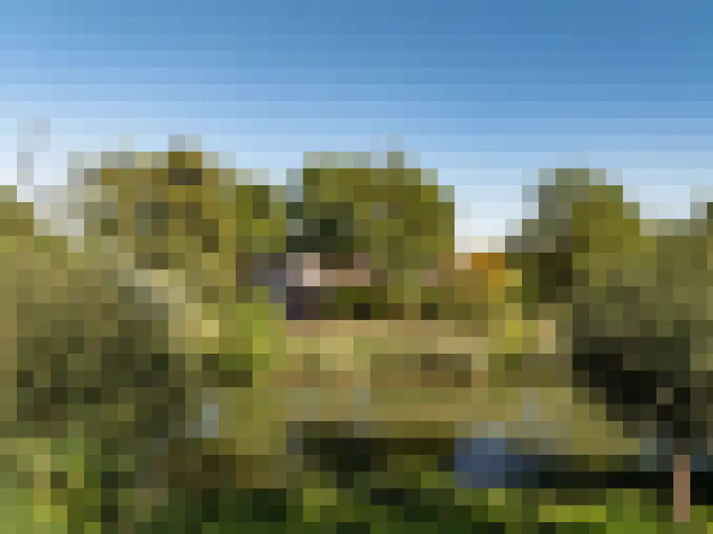 Weg naar Rhijnauwen 23 Utrecht thumbnail 63
